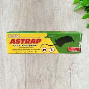 ASTRAP FARE YAPIŞKANI TÜP*125ML*