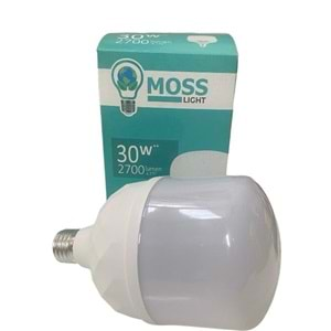 MOSS LIGHT LED AMPÜL*30 W*