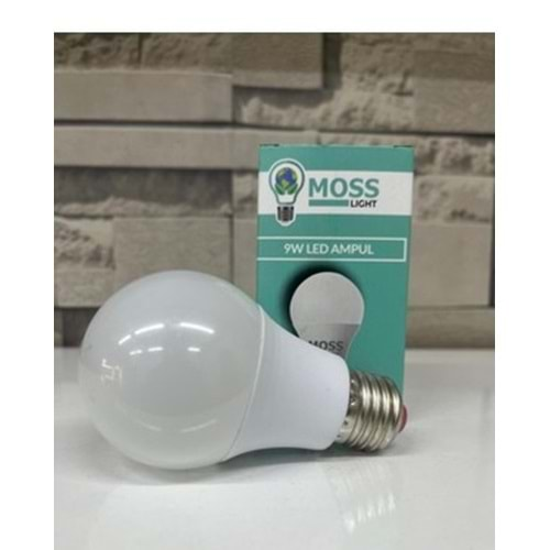 MOSS LIGHT LED AMPÜL*20W*