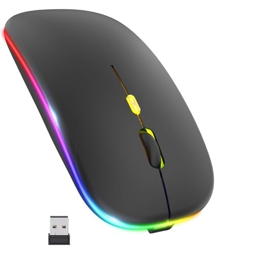 BWM-6 LEDLİ ŞARJ EDİLEBİLİR MOUSE BLİC 